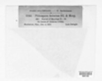 Pseudocercospora asiminae image